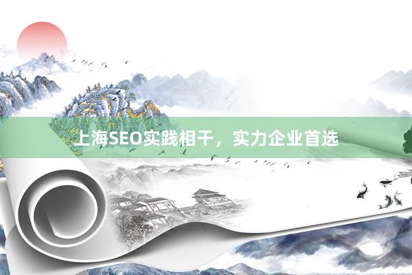 上海SEO实践相干，实力企业首选